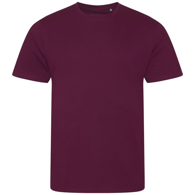Ecologie Cascades Organic T-Shirt