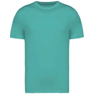 Native Spirit Unisex Heavyweight T-Shirt