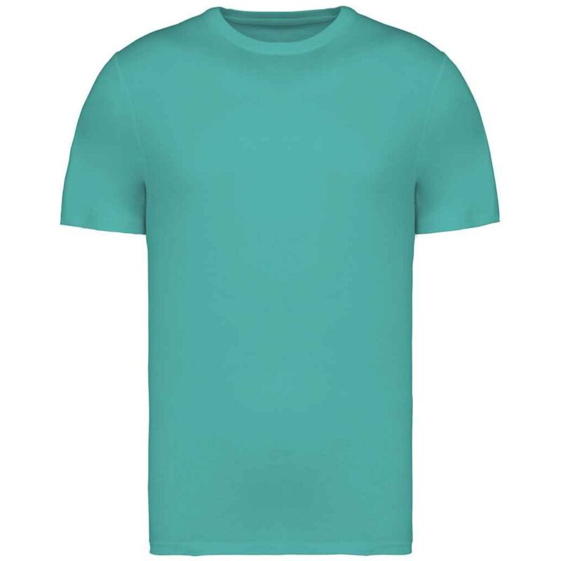 Native Spirit Unisex Heavyweight T-Shirt