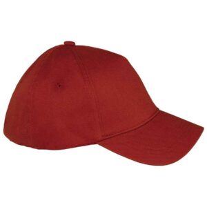Native Spirit 5 Panel Cap