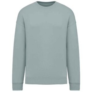 Native Spirit Unisex Oversized Sweatshirt