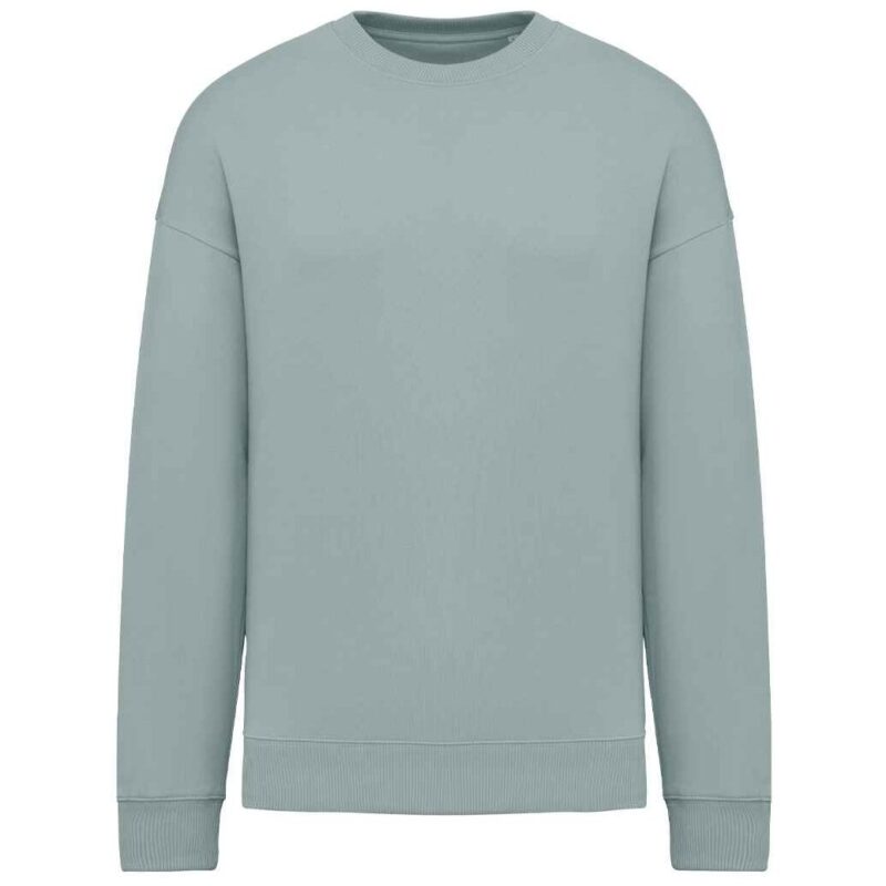 Native Spirit Unisex Oversized Sweatshirt
