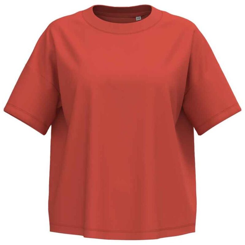 Native Spirit Ladies Oversized T-Shirt