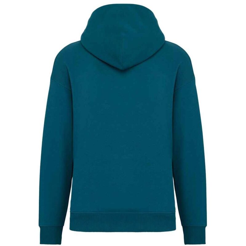 Native Spirit Unisex Oversized Hoodie