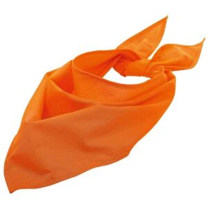 SOL'S Bandana