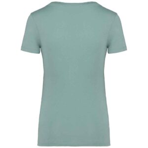 Native Spirit Ladies T-Shirt