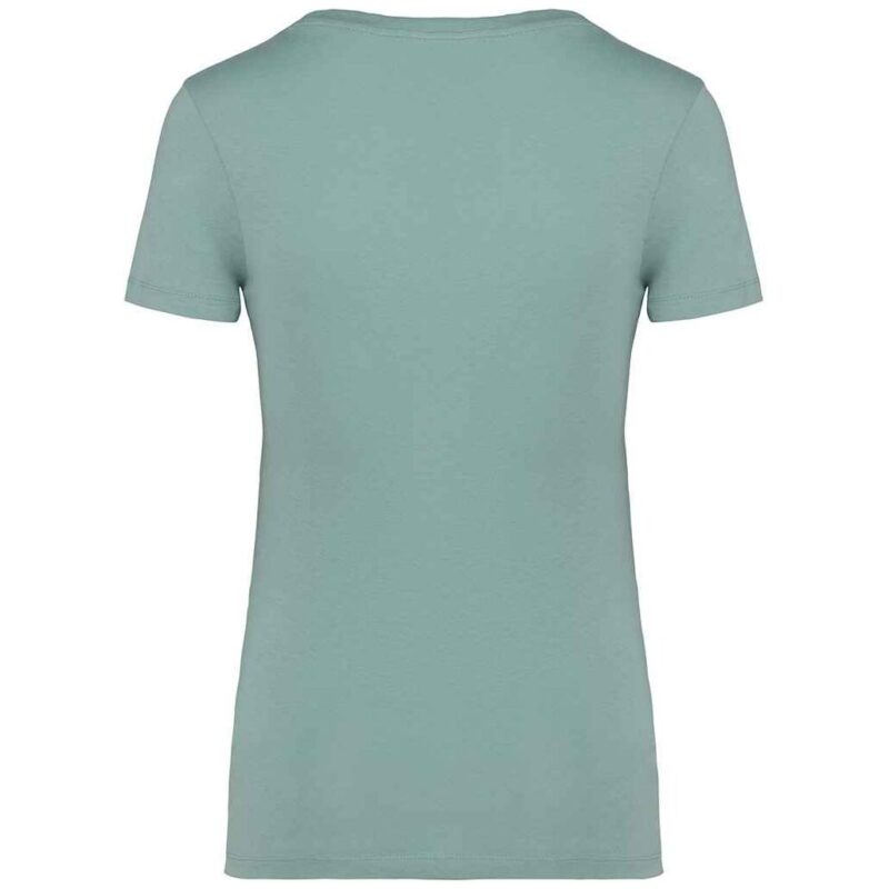 Native Spirit Ladies T-Shirt