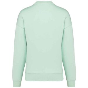 Native Spirit Unisex Oversized Sweatshirt
