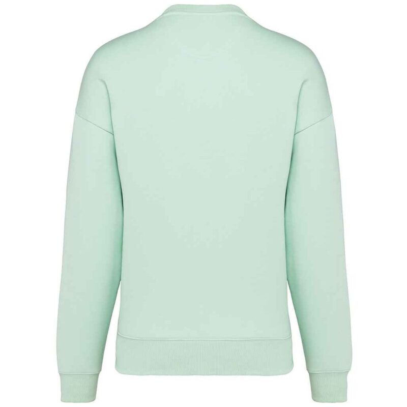 Native Spirit Unisex Oversized Sweatshirt