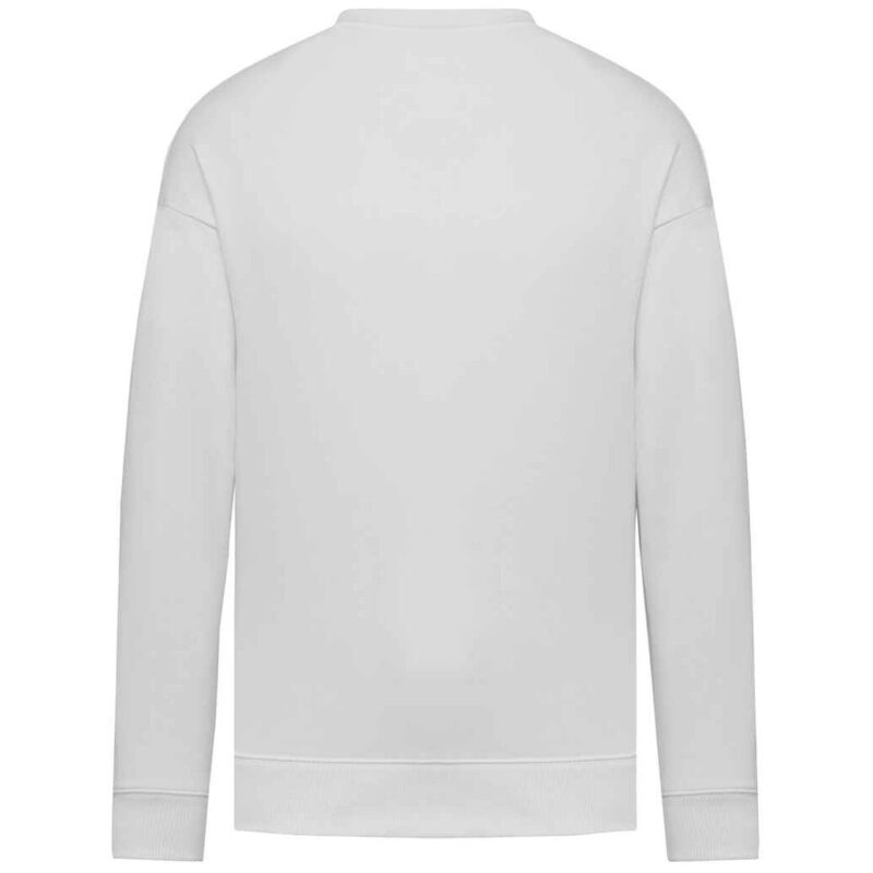 Native Spirit Unisex Oversized Sweatshirt