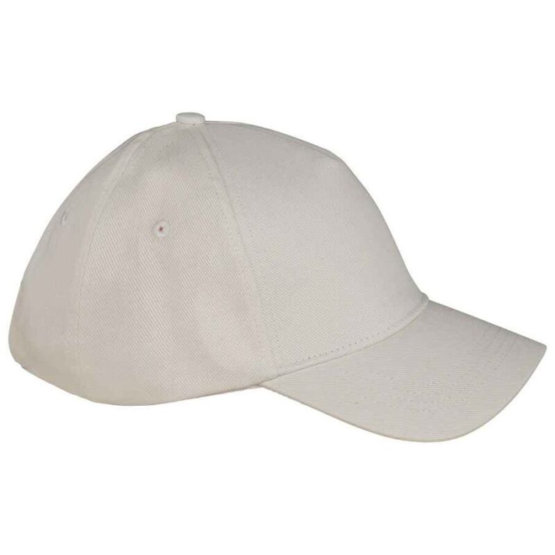Native Spirit 5 Panel Cap