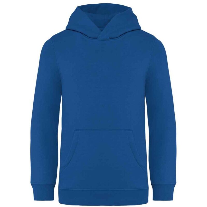 Native Spirit Kids Hooded Sweatshirt