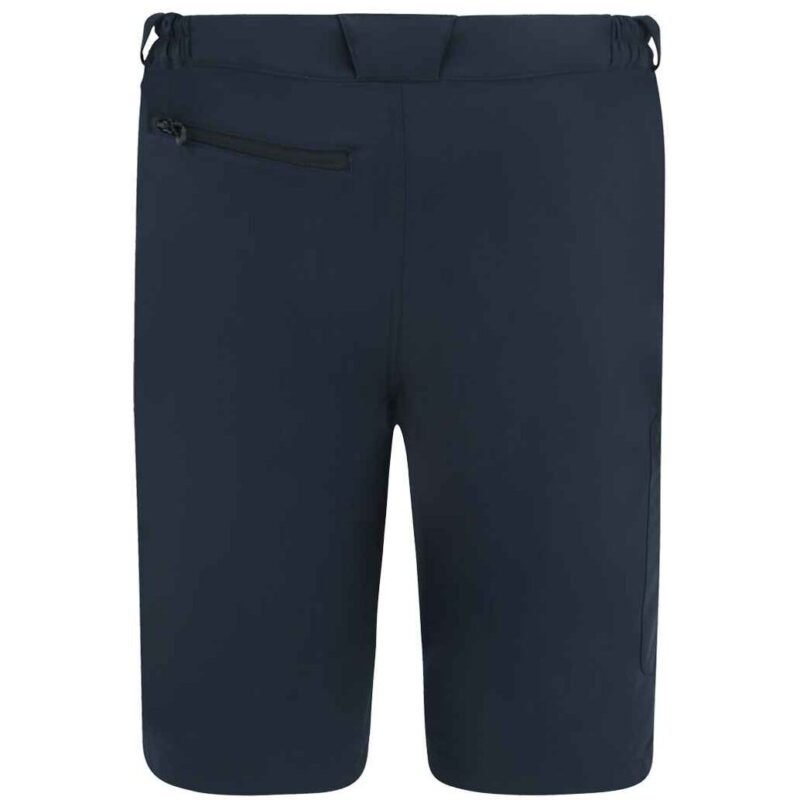 Regatta Prolite Stretch Shorts