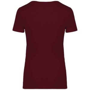 Native Spirit Ladies T-Shirt