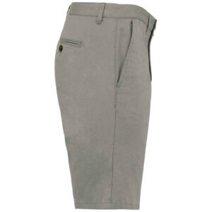 Native Spirit Chino Shorts