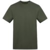 Earthy Green