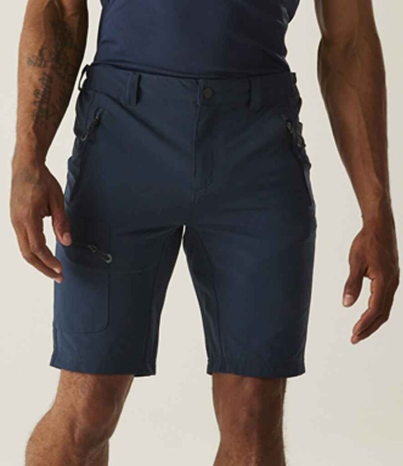 Regatta Prolite Stretch Shorts