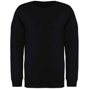 Native Spirit Kids Crew Neck Sweatshirt