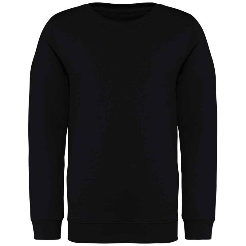 Native Spirit Kids Crew Neck Sweatshirt
