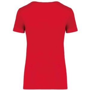 Native Spirit Ladies T-Shirt