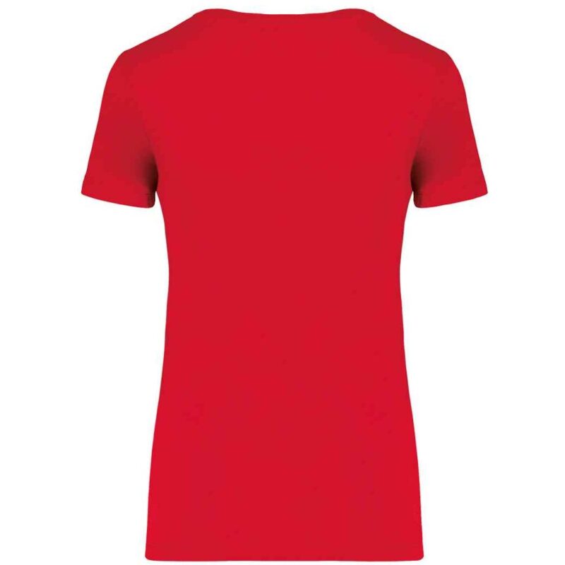 Native Spirit Ladies T-Shirt