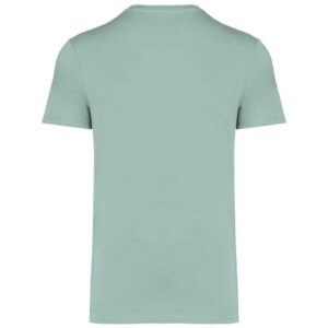 Native Spirit Unisex Heavyweight T-Shirt
