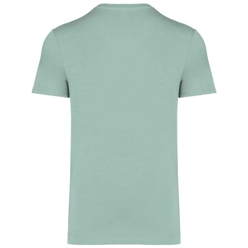 Native Spirit Unisex Heavyweight T-Shirt