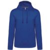 Light Royal Blue
