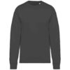 Iron Grey