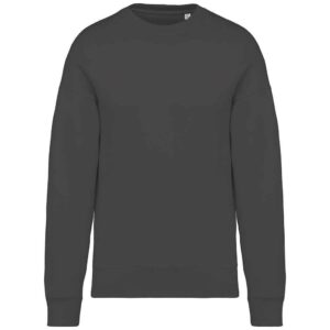Native Spirit Unisex Oversized Sweatshirt