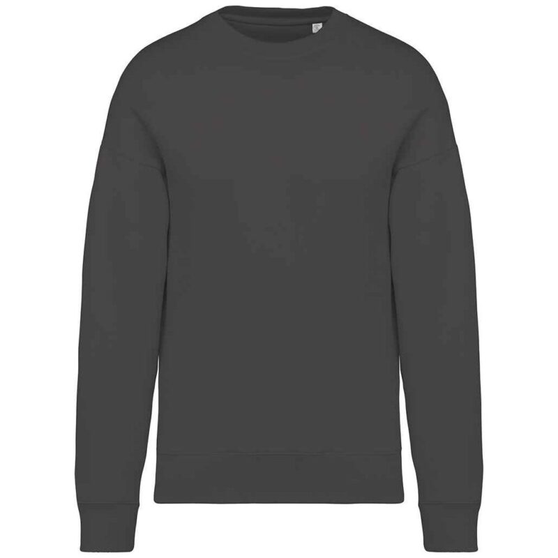 Native Spirit Unisex Oversized Sweatshirt