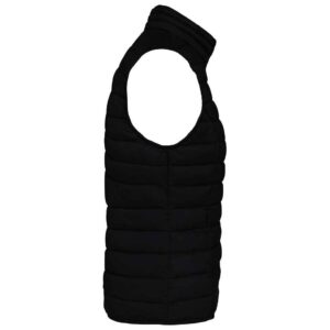 Native Spirit Ladies Light Recycled Bodywarmer