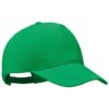 Bud Green