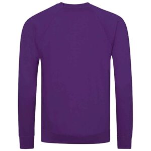 AWDis Academy Senior Raglan Sweatshirt