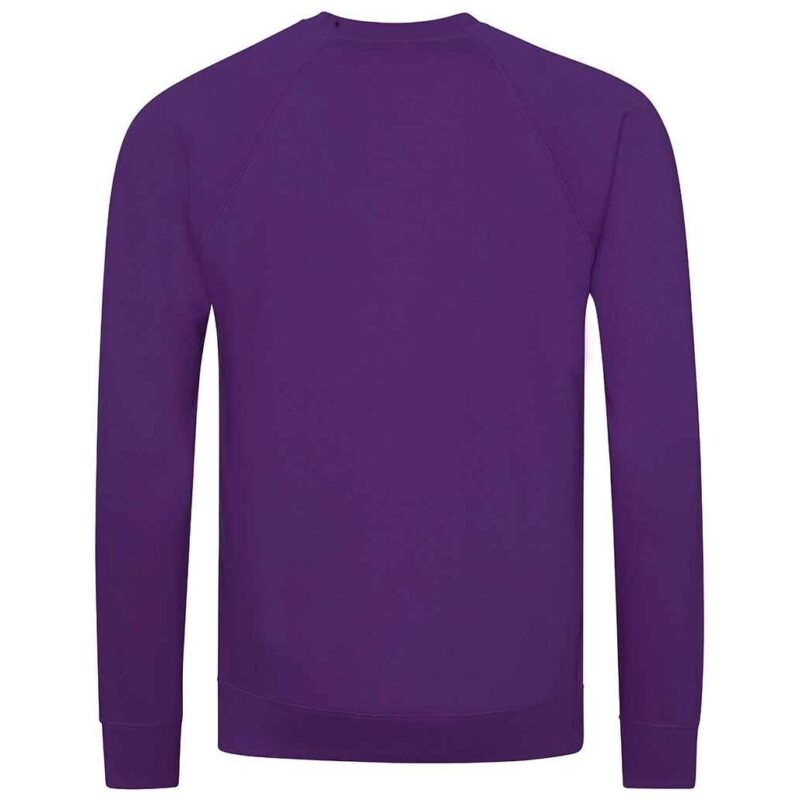 AWDis Academy Senior Raglan Sweatshirt