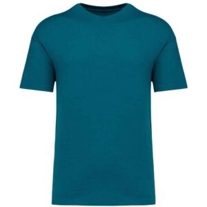 Native Spirit Unisex Oversized T-Shirt