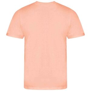 Ecologie Cascades Organic T-Shirt