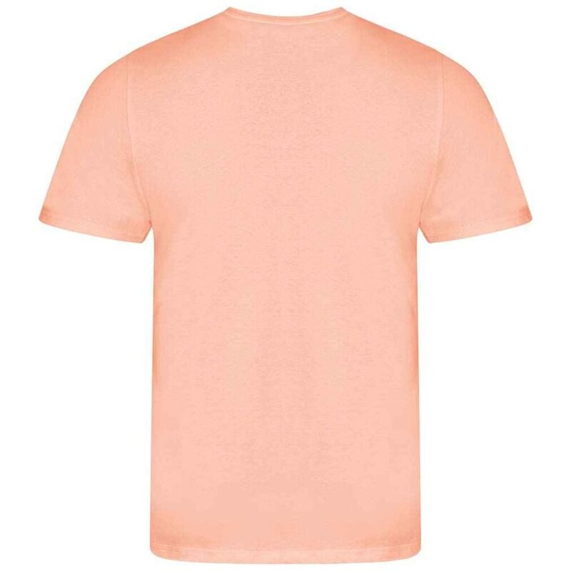 Ecologie Cascades Organic T-Shirt