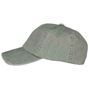 Native Spirit Washed Destroy Cap