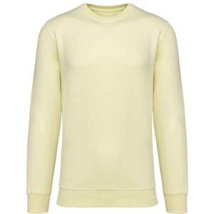 Native Spirit Unisex Crew Neck Sweatshirt