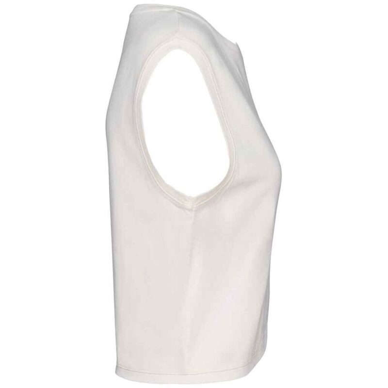 Native Spirit Ladies Cropped Tank Top