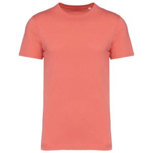 Native Spirit Unisex Heavyweight T-Shirt