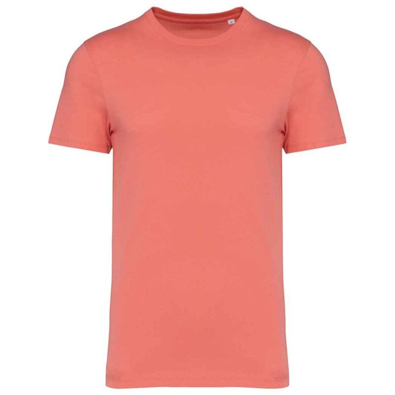 Native Spirit Unisex Heavyweight T-Shirt