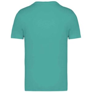 Native Spirit Unisex Heavyweight T-Shirt