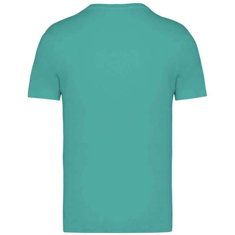 Native Spirit Unisex Heavyweight T-Shirt