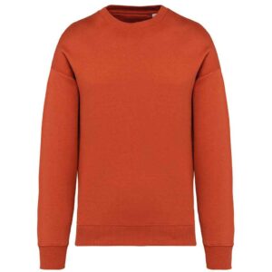 Native Spirit Unisex Oversized Sweatshirt