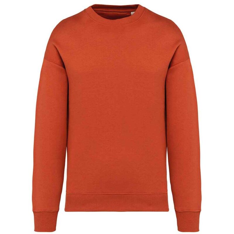 Native Spirit Unisex Oversized Sweatshirt