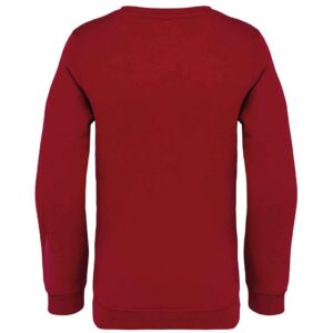 Native Spirit Kids Crew Neck Sweatshirt