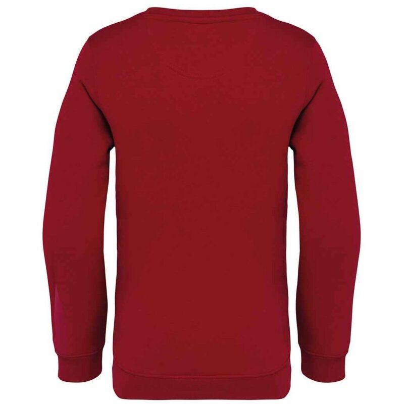 Native Spirit Kids Crew Neck Sweatshirt