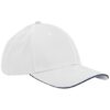White/French Navy